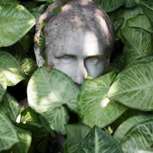 Curso “Mitología Vegetal y Simbolismo Botánico”